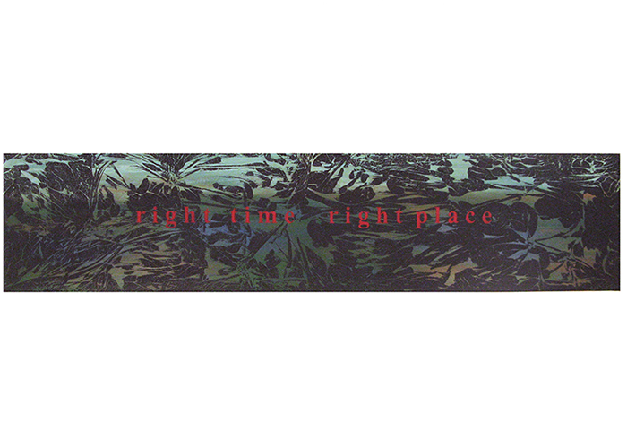 right place • 43 x 190 cm • Acryl auf Leinwand